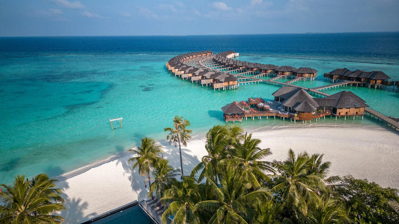 Maldives Honeymoon
