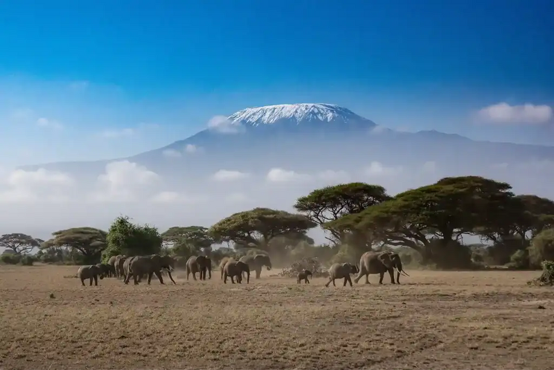 Kenya