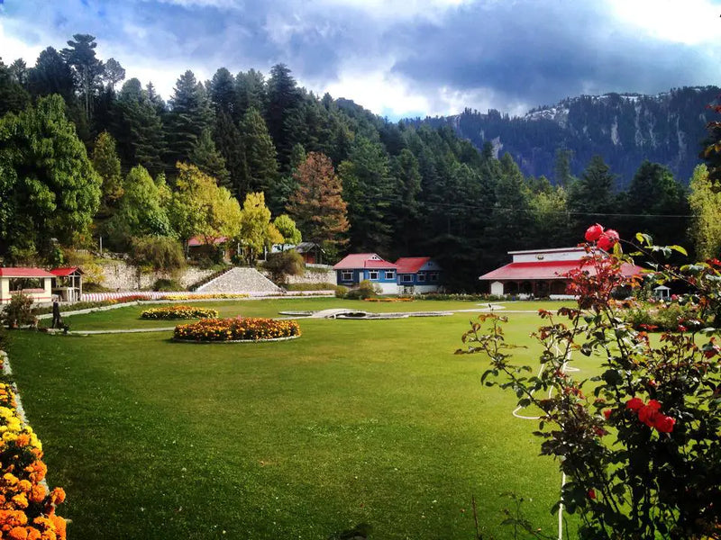 Shogran & Ayubia Honeymoon Special