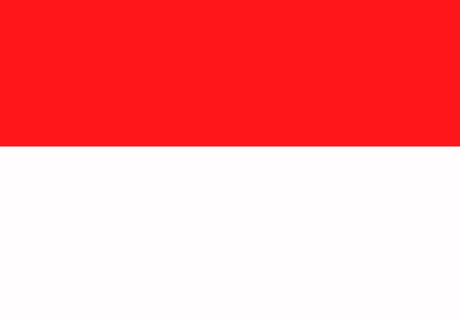 Visa For Indonesia 3 Indonesia flag -