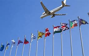 Domestic and international bookings 4 Image